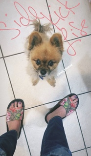 Nikki Leigh feet photo thumbnail