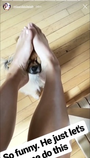 Nikki Leigh feet photo thumbnail