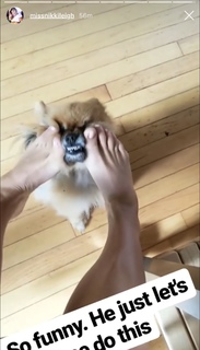 Nikki Leigh feet photo thumbnail