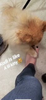 Nikki Leigh feet photo thumbnail