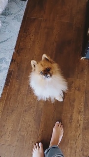 Nikki Leigh feet photo thumbnail