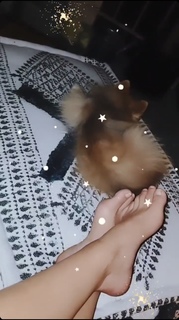 Nikki Leigh feet photo thumbnail