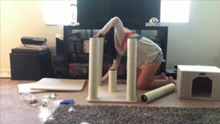 Nikki Limo feet photo thumbnail