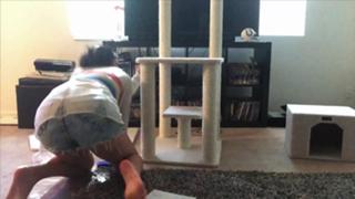 Nikki Limo feet photo thumbnail