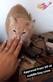 Nikki Limo feet photo thumbnail