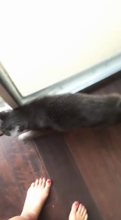 Nikki Limo feet photo thumbnail