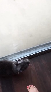 Nikki Limo feet photo thumbnail