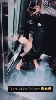 Nikkie Plessen feet photo thumbnail