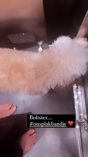 Nikkie Plessen feet photo thumbnail
