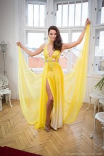 Nikol Svantnerová feet photo 5