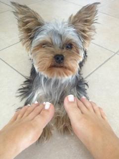 Nikoletta Ralli feet photo thumbnail