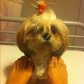 Nikoletta Ralli feet photo thumbnail