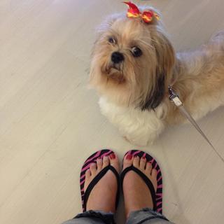 Nikoletta Ralli feet photo thumbnail