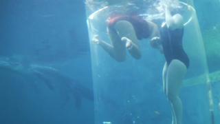 Nilam Farooq feet photo 8