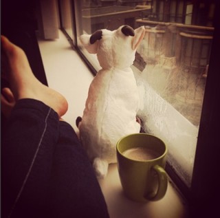 Nilce Moretto feet photo thumbnail