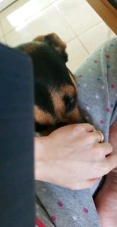 Nilce Moretto feet photo thumbnail