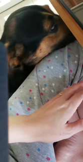 Nilce Moretto feet photo thumbnail