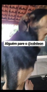 Nilce Moretto feet photo thumbnail