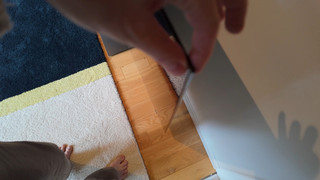 Nilce Moretto feet photo thumbnail