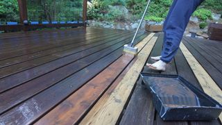 Nilce Moretto feet photo thumbnail