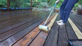 Nilce Moretto feet photo thumbnail