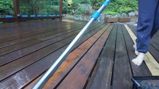 Nilce Moretto feet photo thumbnail