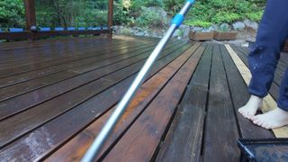 Nilce Moretto feet photo thumbnail