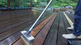 Nilce Moretto feet photo thumbnail