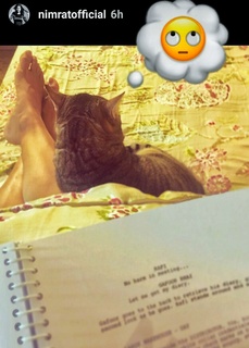 Nimrat Kaur feet photo thumbnail