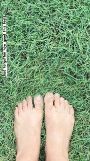 Nimrat Kaur feet photo thumbnail