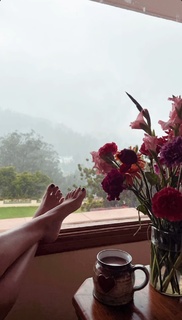 Nimrat Kaur feet photo thumbnail