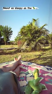 Nimrat Kaur feet photo thumbnail