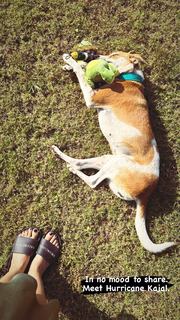 Nimrat Kaur feet photo thumbnail