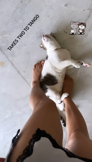 Nimrat Kaur feet photo thumbnail