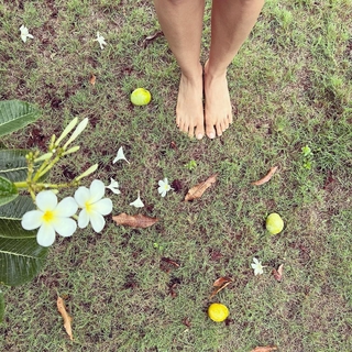 Nimrat Kaur feet photo thumbnail