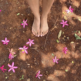 Nimrat Kaur feet photo thumbnail