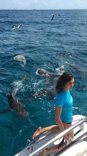 Nina Dobrev feet photo thumbnail