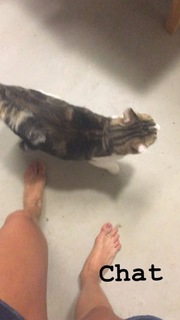 Nina Dobrev feet photo thumbnail