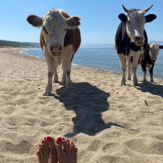 Nina Kraviz feet photo 10