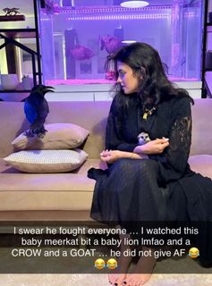 Nina Marie Daniele feet photo thumbnail