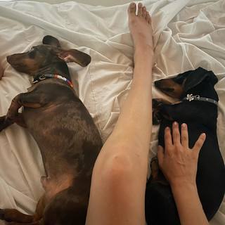 Nina Zilli feet photo 3