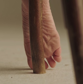 Ninet Tayeb feet photo 6