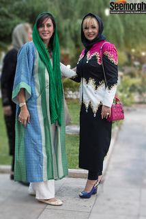 Niousha Zeighami feet photo 18