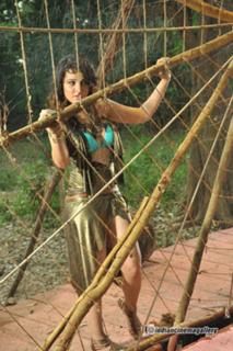 Nisha Kothari feet photo 18