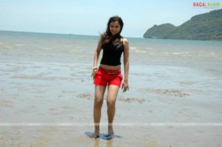 Nisha Kothari feet photo 12