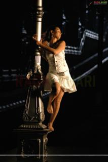 Nisha Kothari feet photo 9