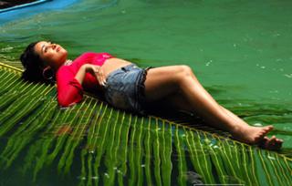 Nisha Kothari feet photo 10