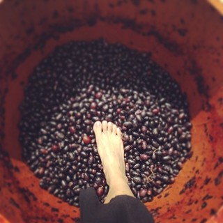 Nisha Rawal feet photo 20
