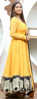 Nivetha Pethuraj feet photo 13