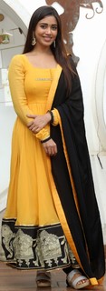Nivetha Pethuraj feet photo 12